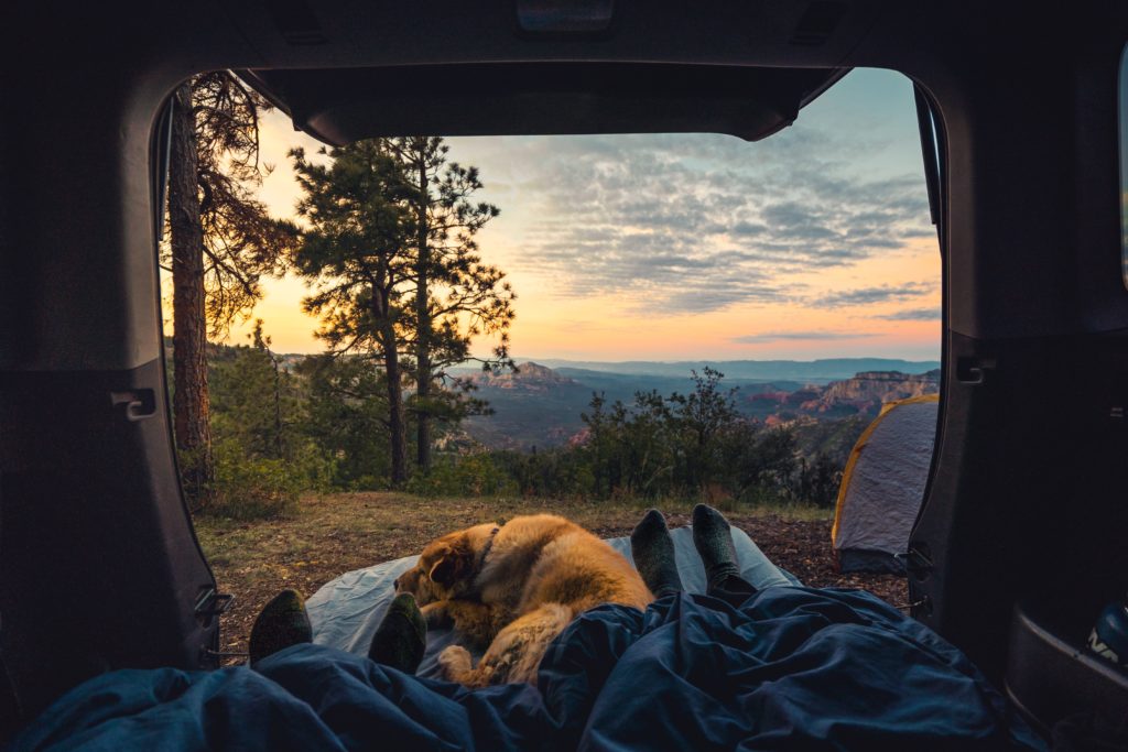 FRUGAL LIVING